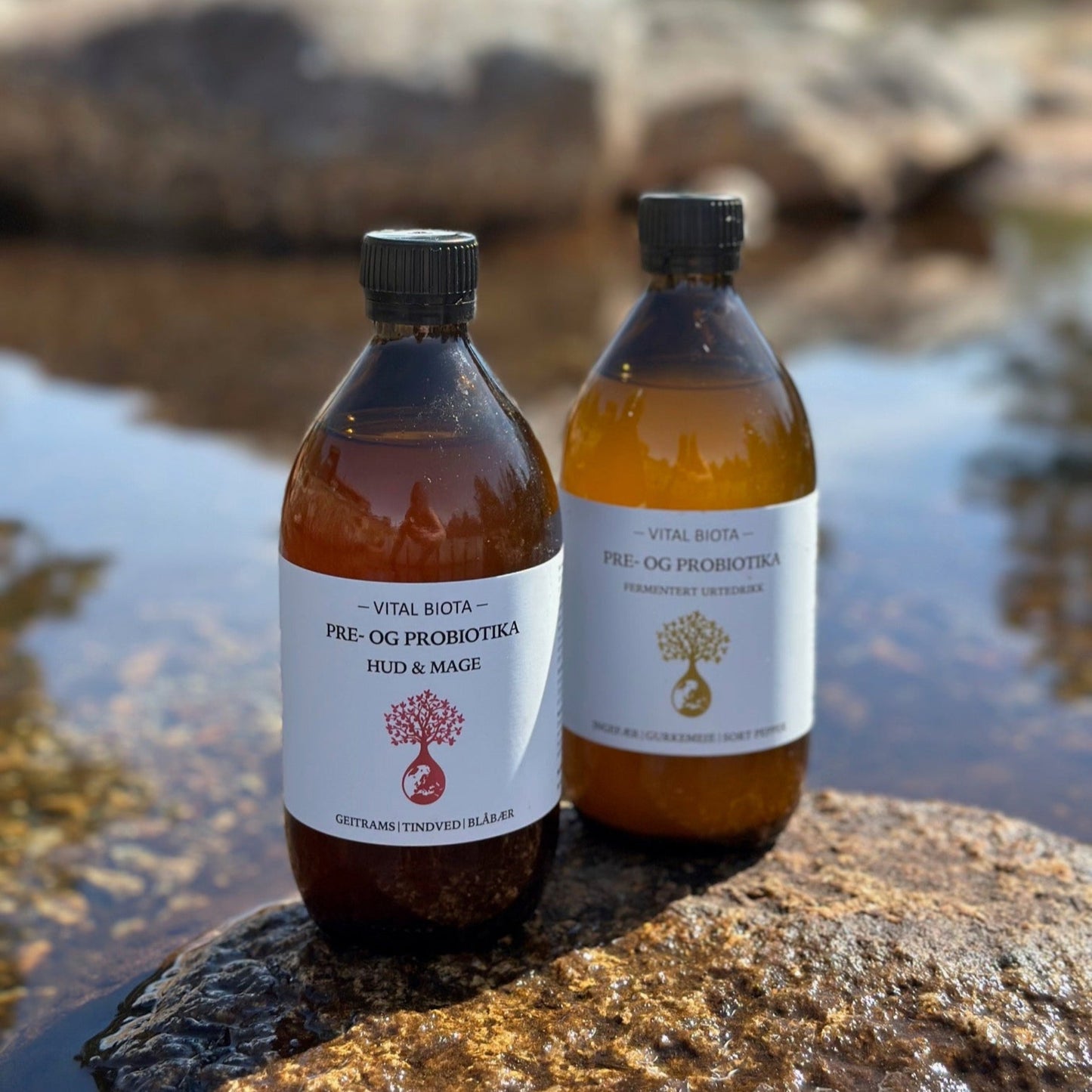 Skin & Gut Probiotic Herbal Drink | Brokkestøylen