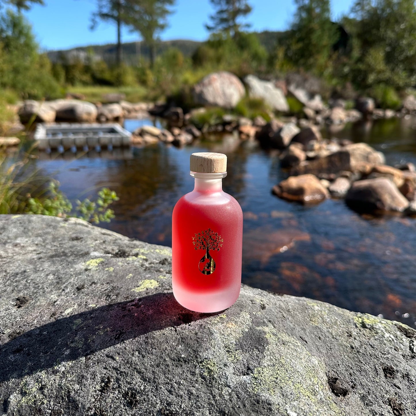 Krystallklar vann på brokkestøylen i setesdag med villrose eddid på flaske