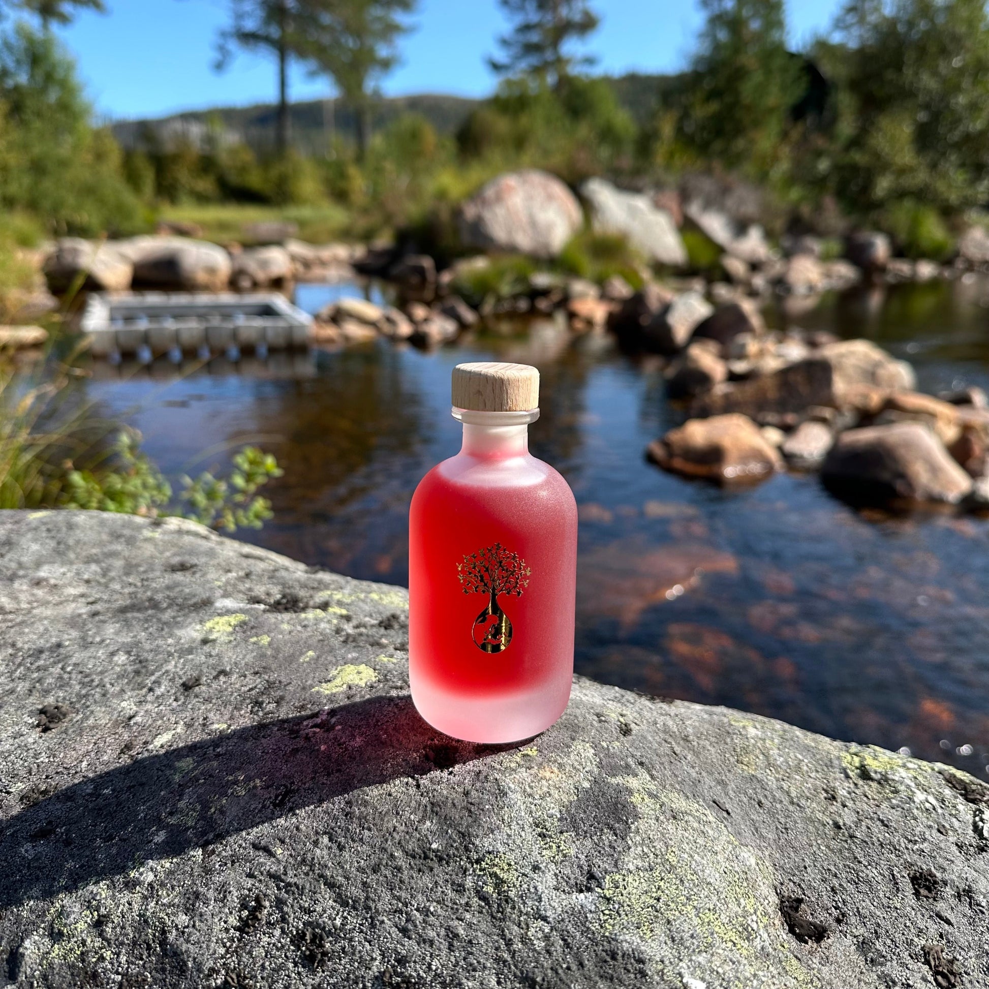 Krystallklar vann på brokkestøylen i setesdag med villrose eddid på flaske