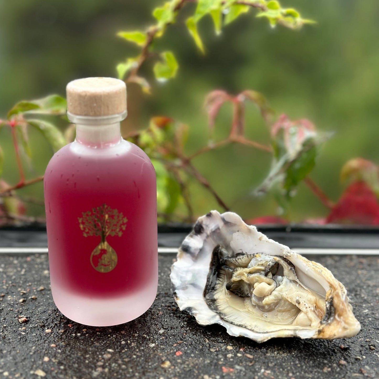Wild Goat Vinegar - Winner of the Norwegian Meal 2024/25!