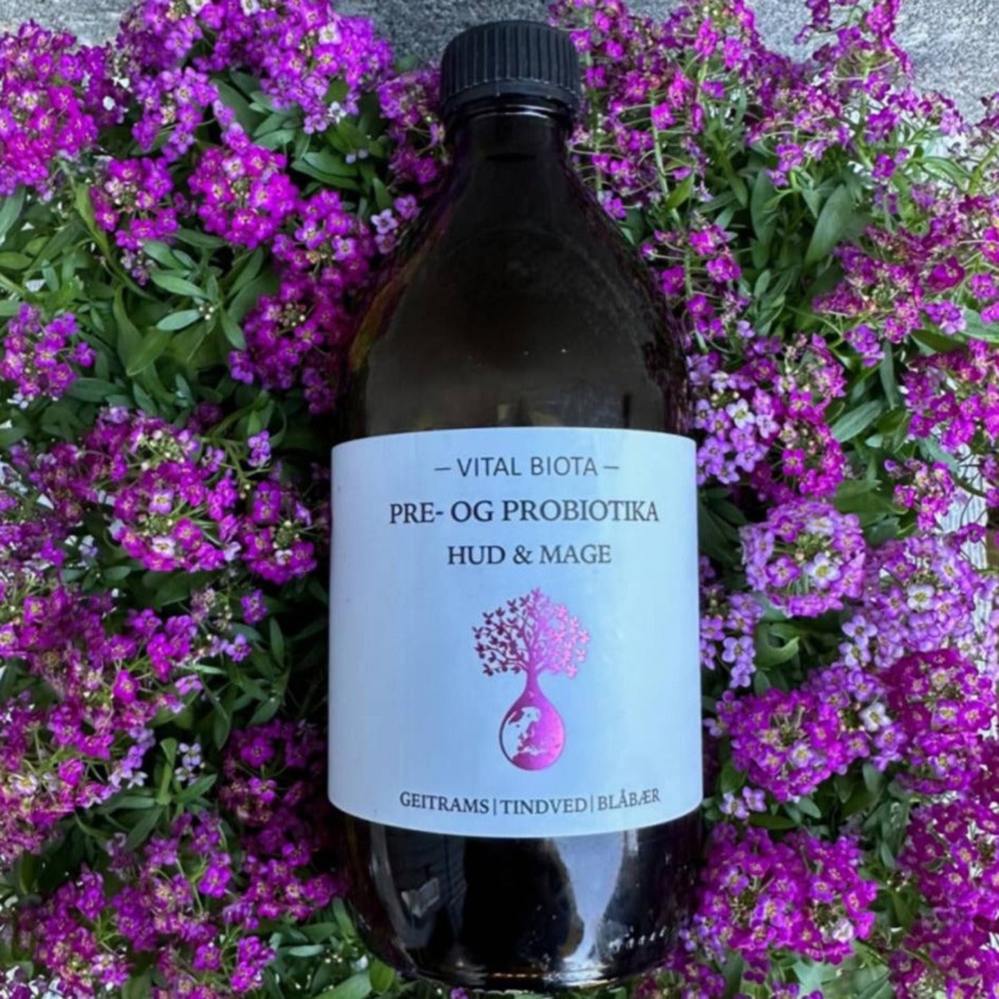 Pre- og probiotika for hud og mage