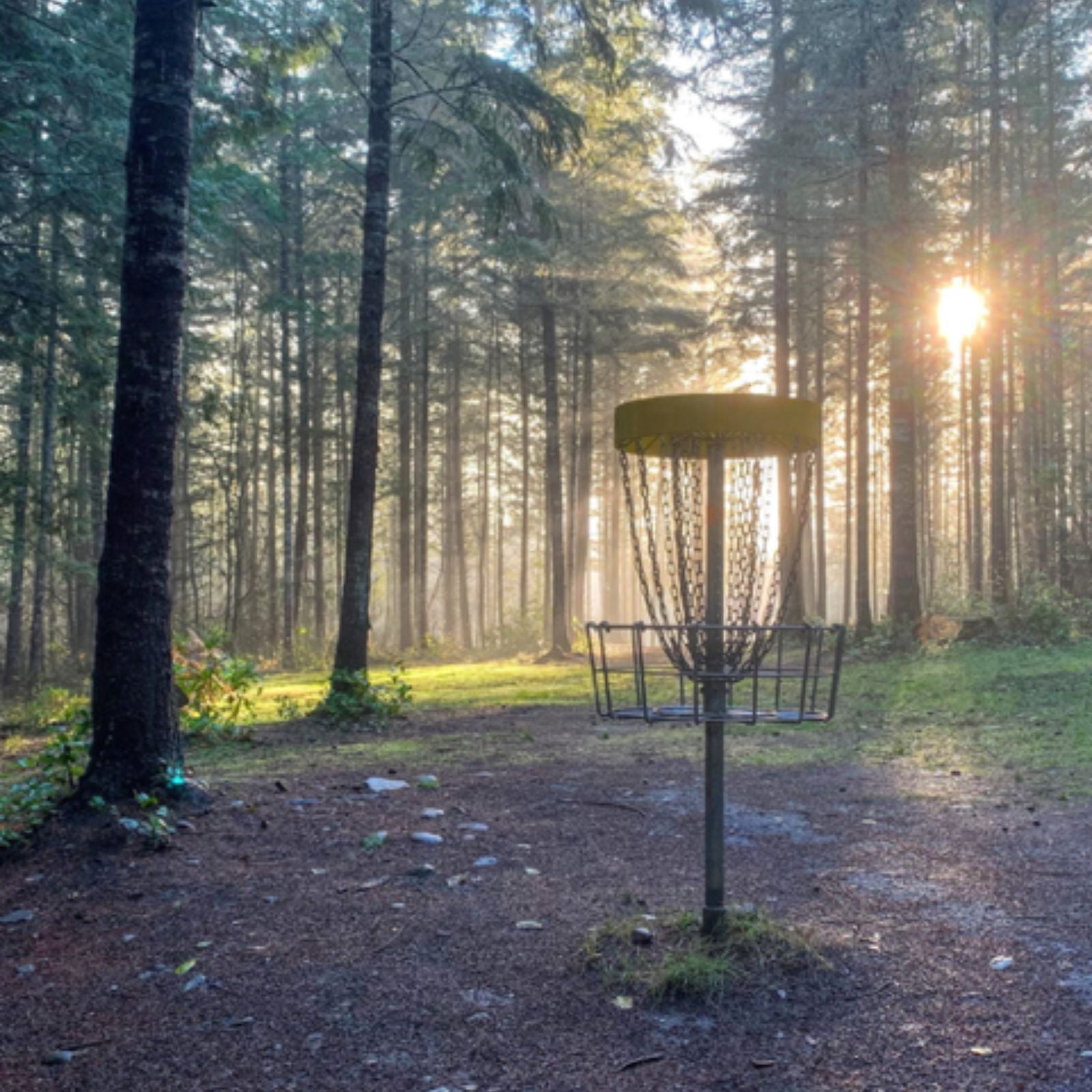 Bli med oss ut på Brokkes frisbeegolf der du kan nyte å være ute i naturen