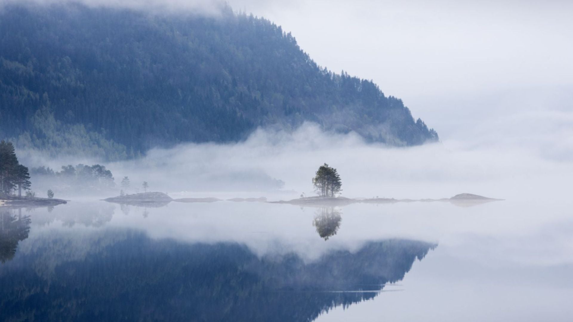 Magisk tåkelagt fjordlandskap i Setesdal ved Brokkestøylen, omgitt av skog og norsk natur»