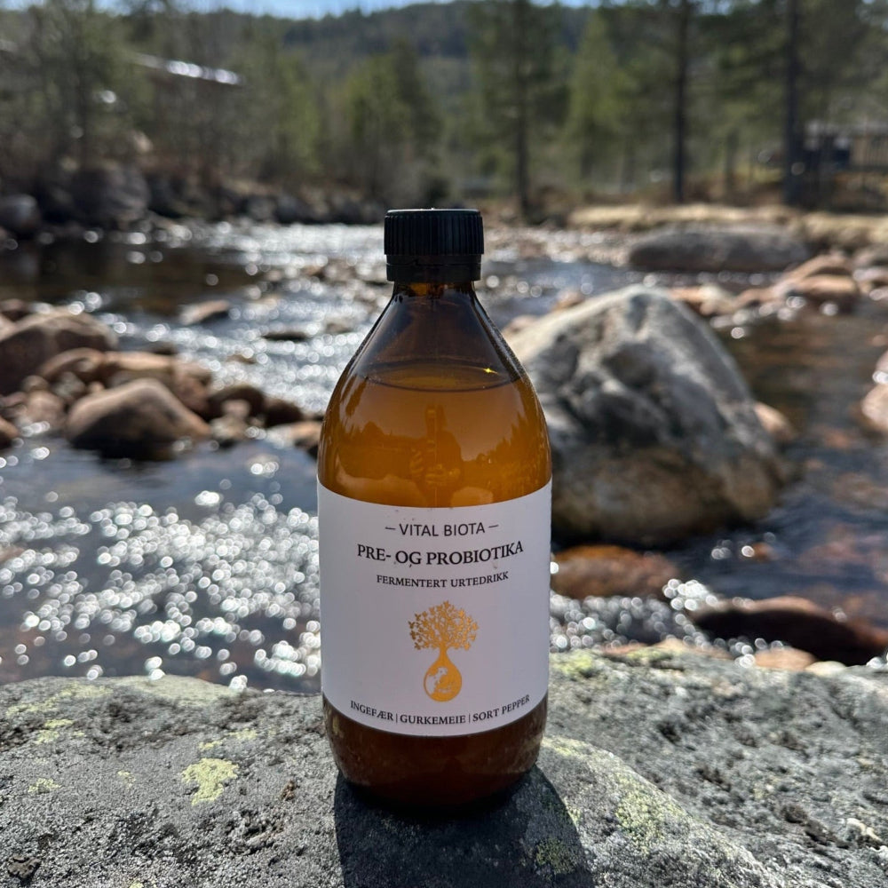 Probiotika i naturen, ved setesdals klare bekker og vann
