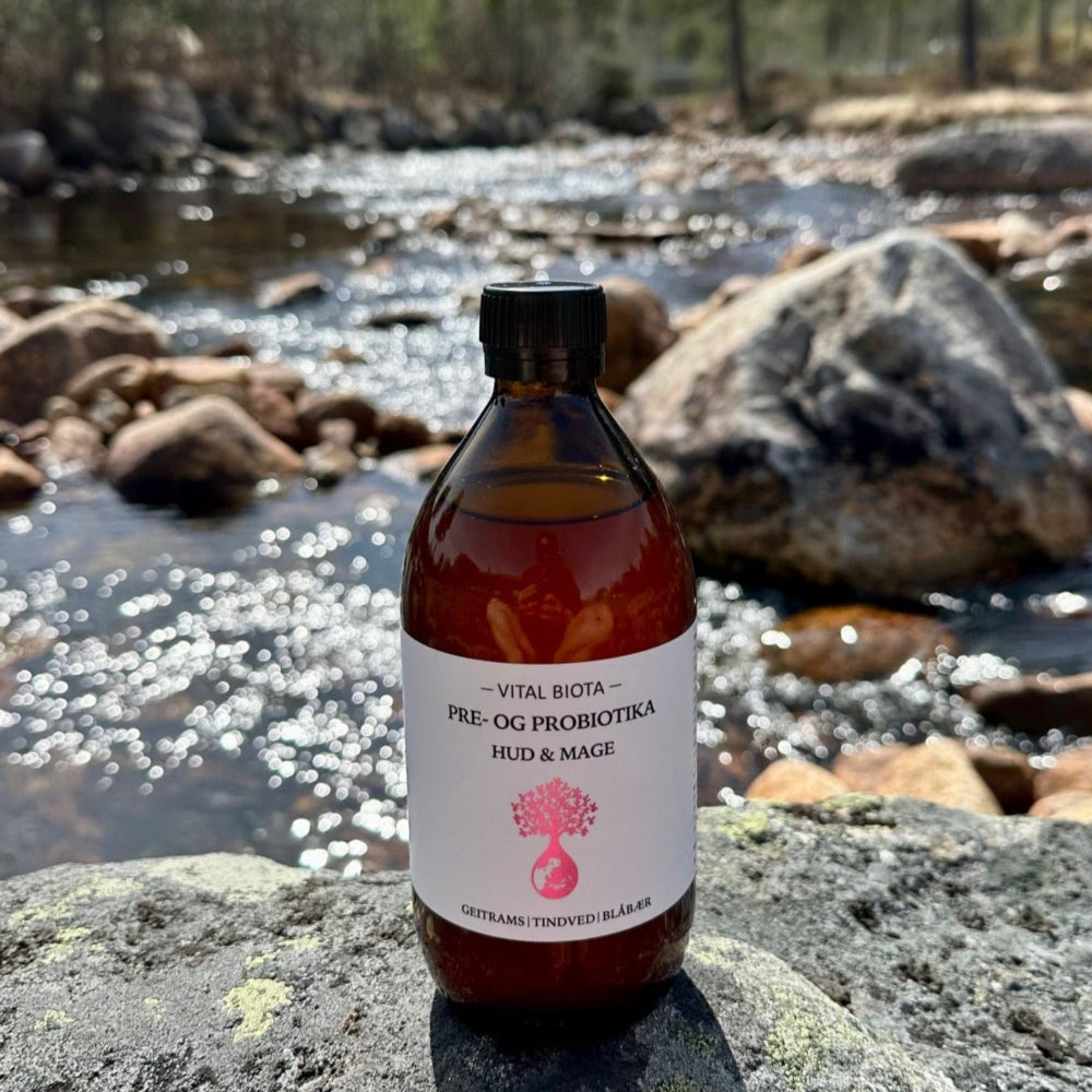 Pre- og probiotika for hud og mage