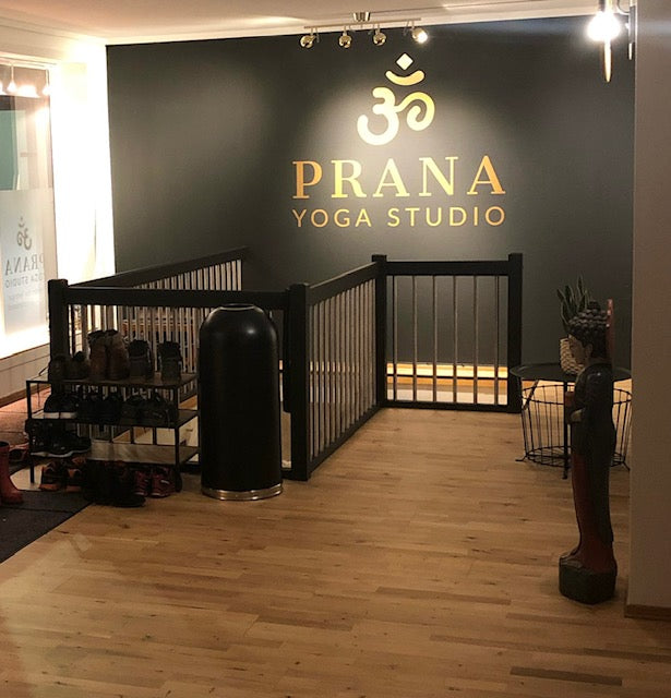 Prana Yoga/Cold bath &amp; Sauna 15-16. June 2024 