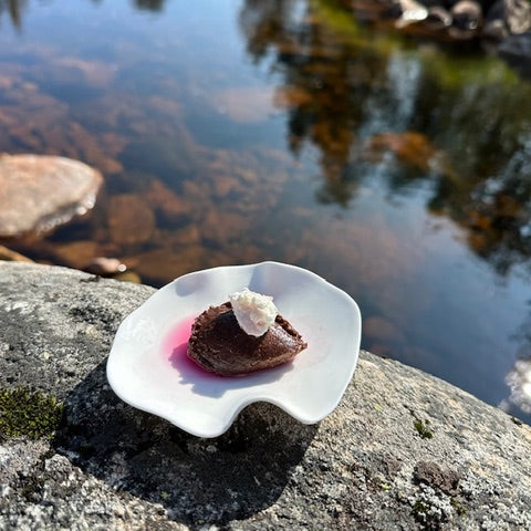 High End glamping i Setesdal – eksklusiv dome med middag og frokost for 2 personer