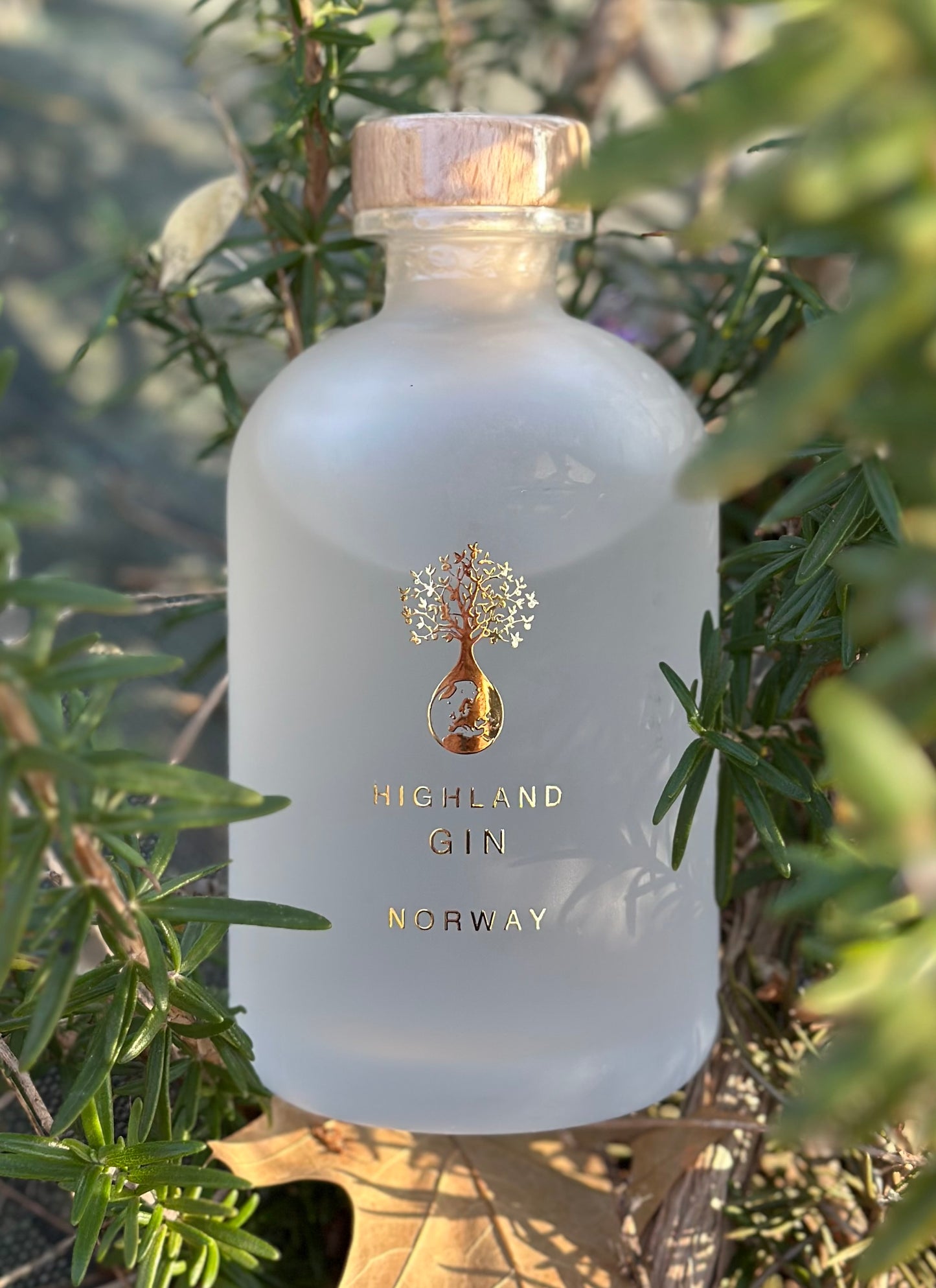 Highland Gin – SKOG | Norwegian Craft Gin from Brokkestøylen
