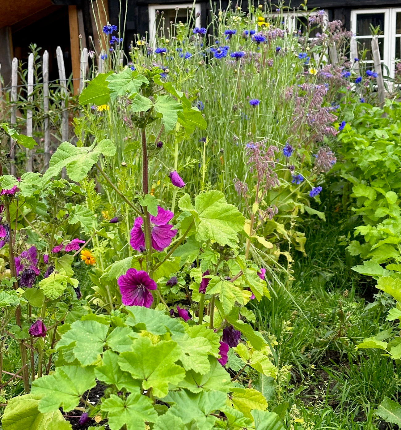 Self Service dome 20 m² i Setesdal – 3100 kr per natt – opphold 2 netter