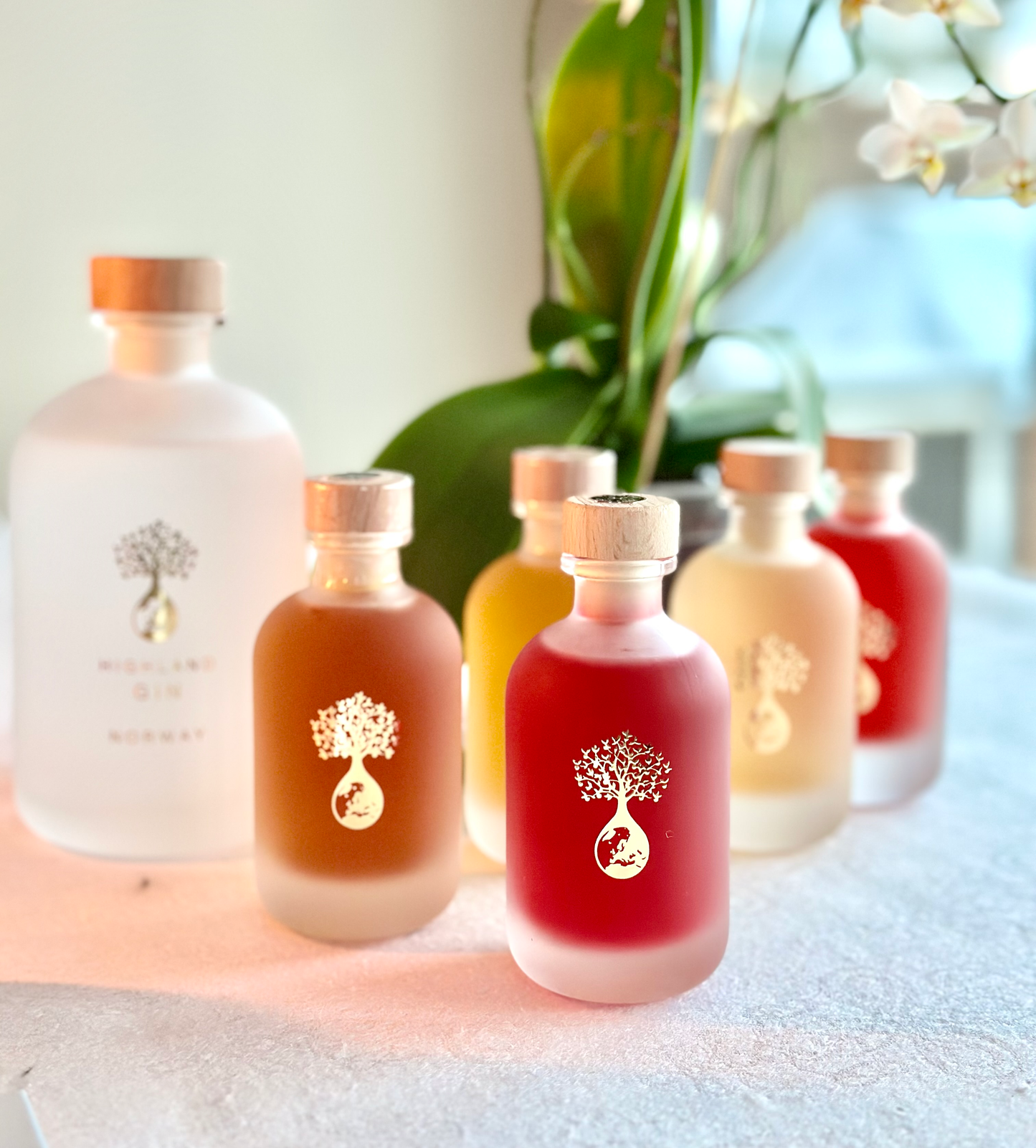 Highland Gin – SKOG | Norwegian Craft Gin from Brokkestøylen
