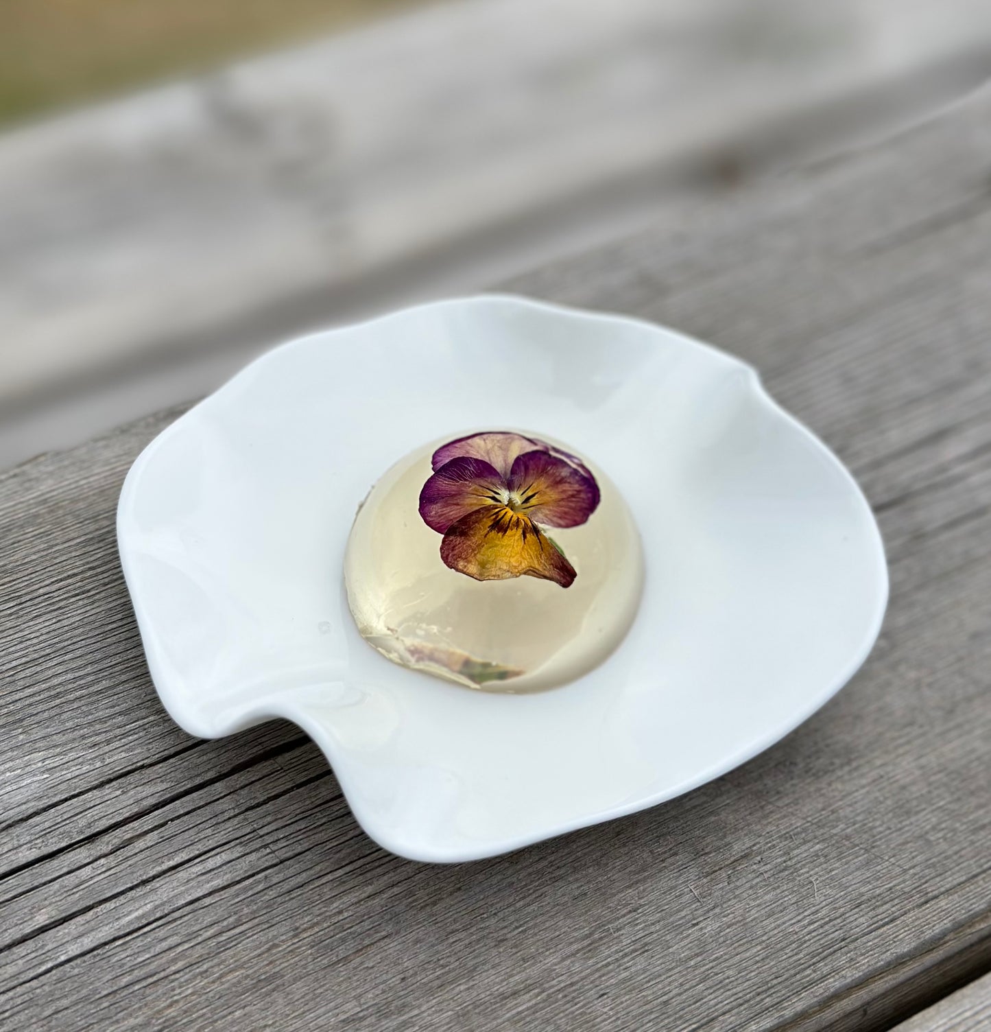 High End glamping i Setesdal – eksklusiv dome med middag og frokost for 2 personer