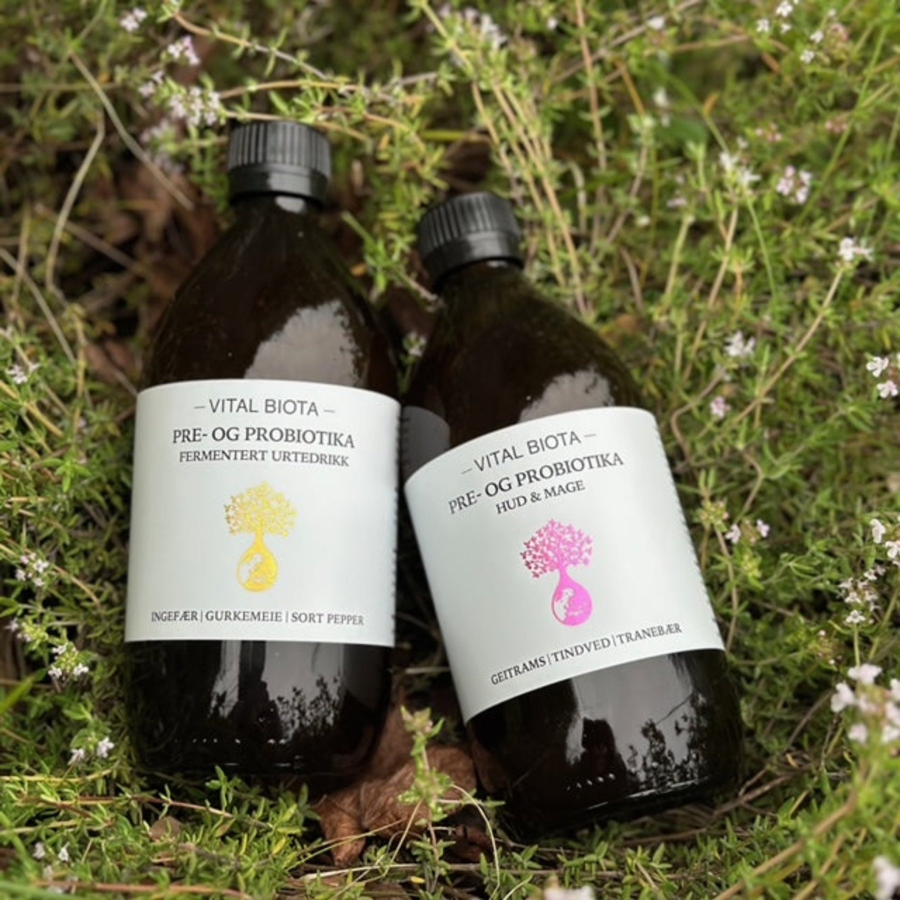 Fermentert pre og probiotia