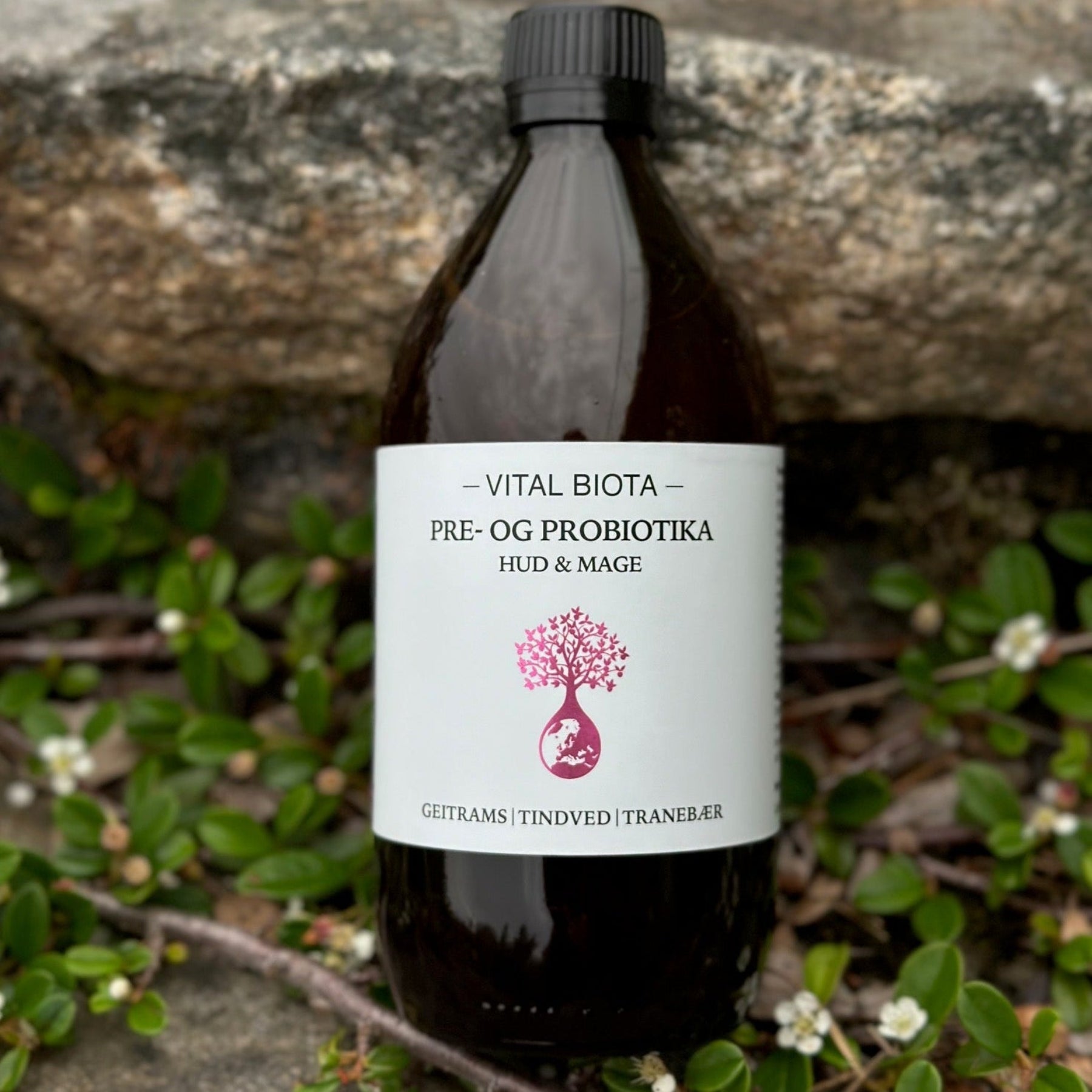 Pre og probiotika for hud og mage 