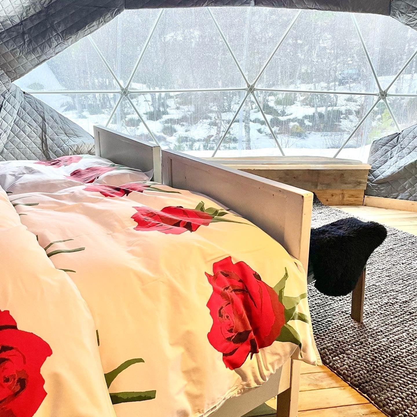 Eco-Lux Dome 30 m2